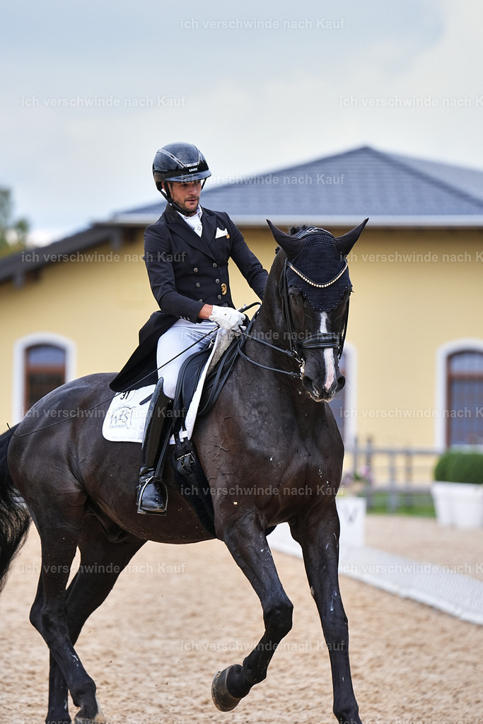 12-031-DRESSUR  S___  -Marixx-5227 | working equitationturnier fotograf videograf stoibphotography marixx film working equitation deutschland reitsport turnierfotografie eventfotografie equestrian events