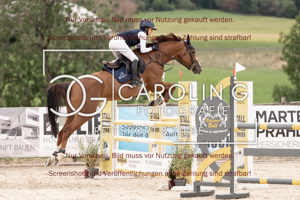 DSC06466 | Springturnier_Teamchallege_Talheim_2026, Leonie_Krieg, Cassandra_430