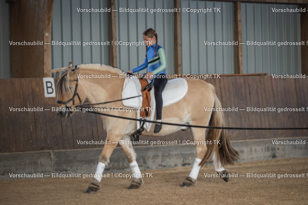 _D5A6562 | Emotionale Pferde- & People-Fotografie rund um Heidelberg, Leimen & Umgebung. Natürliche Fotos von Pferd, Mensch & Familie. Jetzt Termin sichern!
