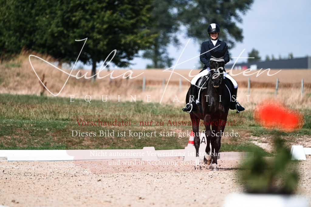 DSC_3311 | Pferde- und Turnierfotografie in Westsachsen. Pferdeportraits, Auftragszeichnungen und intuitive Kunst.
