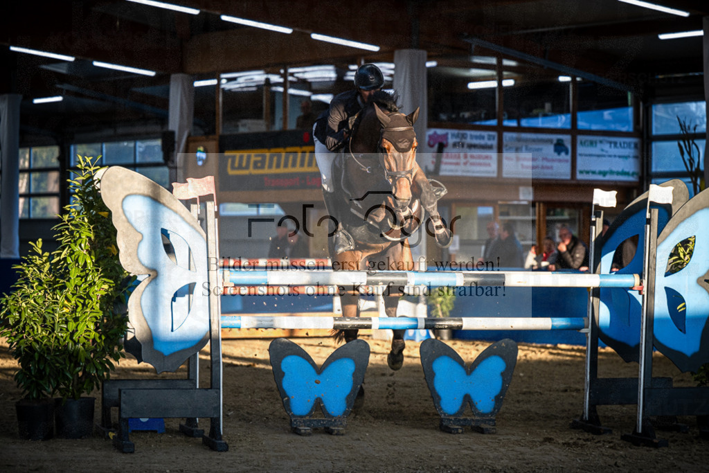 DOS_4110 | Entdecke hochwertige Reitturnierfotos von Foto Oger. Professionell, emotional und authentisch – jetzt Lieblingsmomente im Shop bestellen.Deutschlandweite Turnierfotografie. - Realisiert mit Pictrs.com