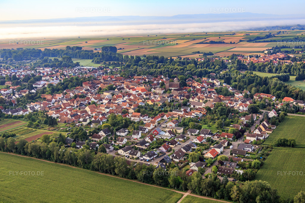 Luftbild: Ortsansicht von Nordwesten im Ortsteil Billigheim in Billigheim-Ingenheim im Bundesland Rheinland-Pfalz in Deutschland. Foto: IMG_092780.jpg vom 13.08.2016 durch Werner Riehm/FLY-FOTO.de