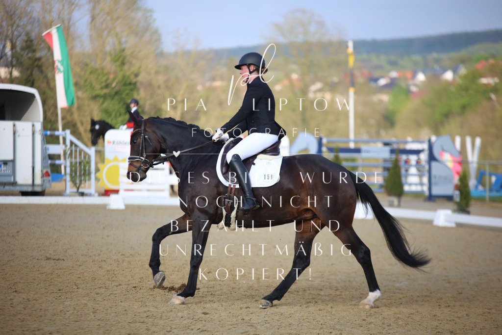 IMGT9053 | pl-fotografie