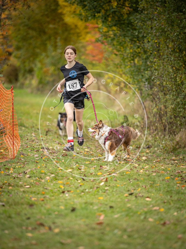 Pfotenfotografie_DV3A3635 | Hundefotografie, Tierfotograf, Pfotenfotografie, Fotoshooting Hund, Hunde Portrait, Hundesport, Hundeportraits, Heideshooting, Hunde, Sportfotograf, Hundefotograf, Turnierhundsport, THS,  - Realisiert mit Pictrs.com