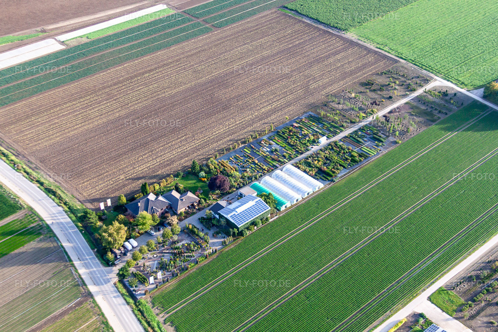 Luftbild: Baumschule Krüger in Mutterstadt im Bundesland Rheinland-Pfalz in Deutschland. Foto: IMG_71205.jpg vom 27.08.2014 durch Werner Riehm/FLY-FOTO.de