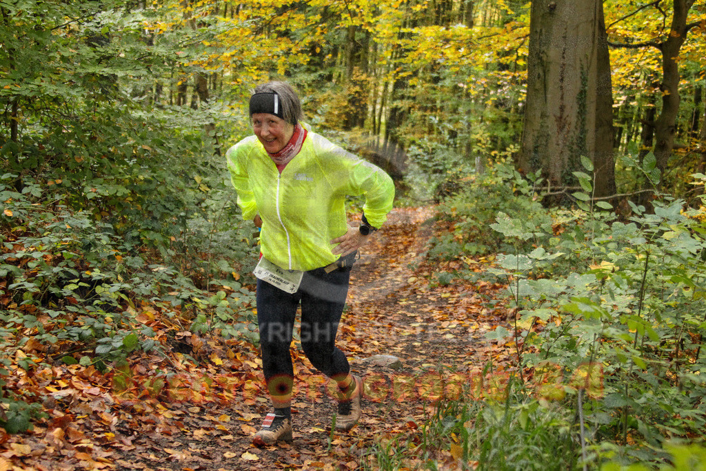 251026_1359_EV4_7075 | Sportfotografie im Rhein-Sieg Kreis, Köln, Bonn, NRW, Rheinland Pfalz, Hessen, etc. Unser Tätigkeitsfeld umfasst den Laufsport vom Volkslauf über den Marathon, Duathlon, Triathon bis zum Ultralauf wie Kölnpfad Ultra oder Schindertrail.