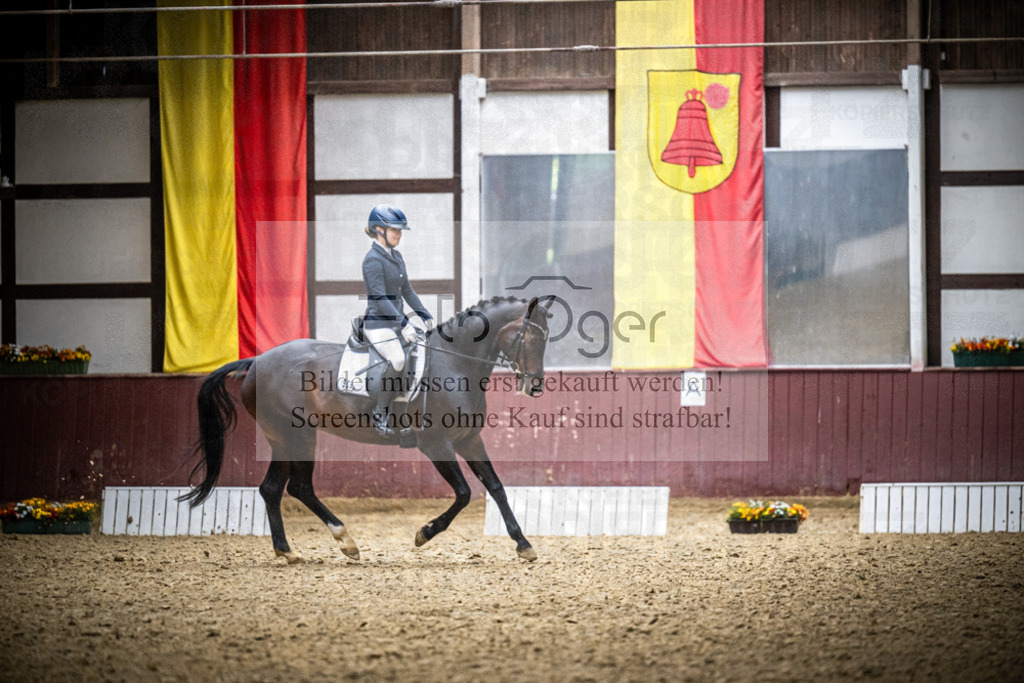 DOS_2390 | Reitturnier Lüdinghausen - Realisiert mit Pictrs.com