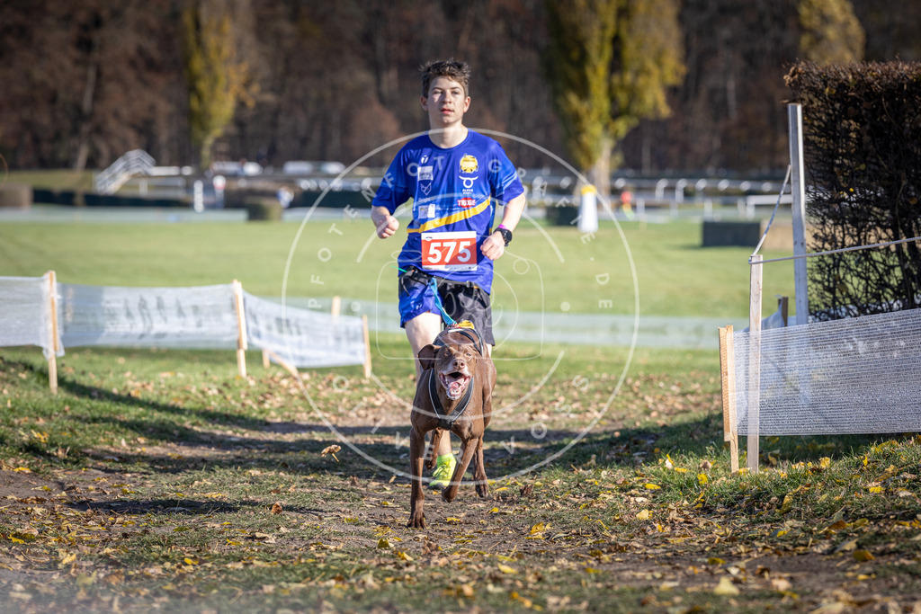 CaniXpix_DV3A8941 | Hundefotografie, Tierfotograf, Pfotenfotografie, Fotoshooting Hund, Hunde Portrait, Hundesport, Hundeportraits, Heideshooting, Hunde, Sportfotograf, Hundefotograf, Turnierhundsport, THS,  - Realisiert mit Pictrs.com