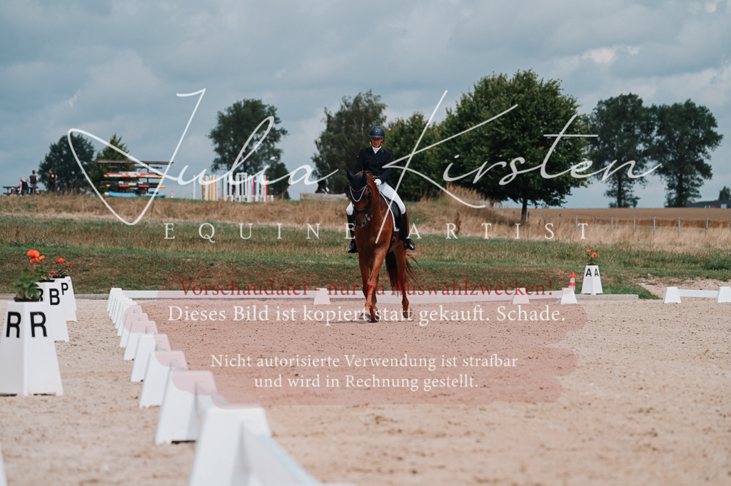 DSC_4218 | Pferde- und Turnierfotografie in Westsachsen. Pferdeportraits, Auftragszeichnungen und intuitive Kunst.