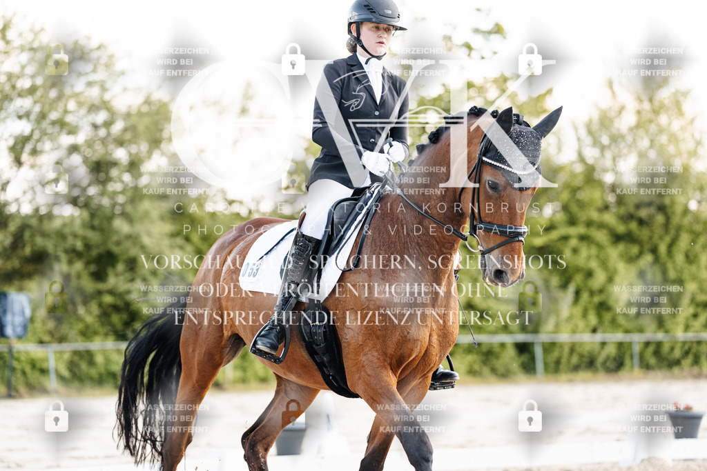 CK909635 | Turnierfotografie Pferdefotografie Trier Rheinland-Pfalz Pferdesport Reitsport Tierfotografie Sportfotografie Pferdevideo Pferdevideografie Equestrianvideography equestrianphotography  - Realisiert mit Pictrs.com