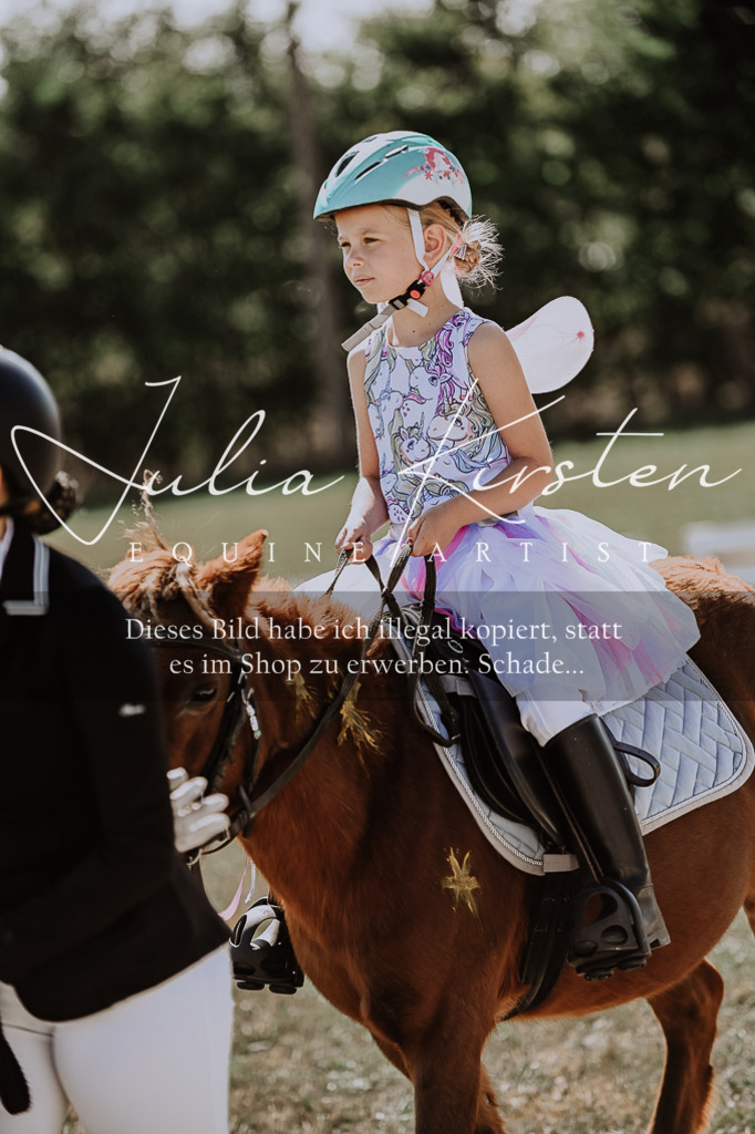 DSC_8978 | Pferde- und Turnierfotografie in Westsachsen. Pferdeportraits, Auftragszeichnungen und intuitive Kunst.