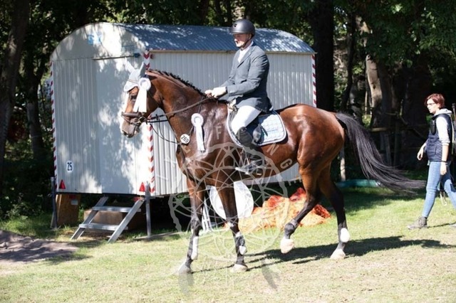 2B4A0312 | pixelfaenger - Realisiert mit Pictrs.com