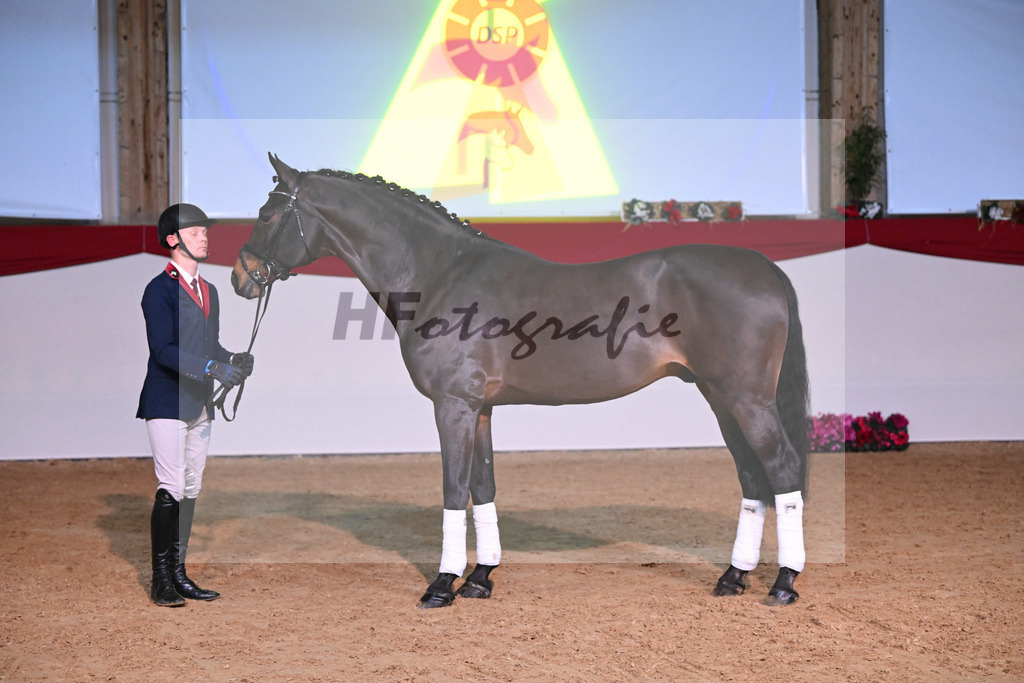 Chacco Chacco_1235102 | hf-fotografie - Realisiert mit Pictrs.com