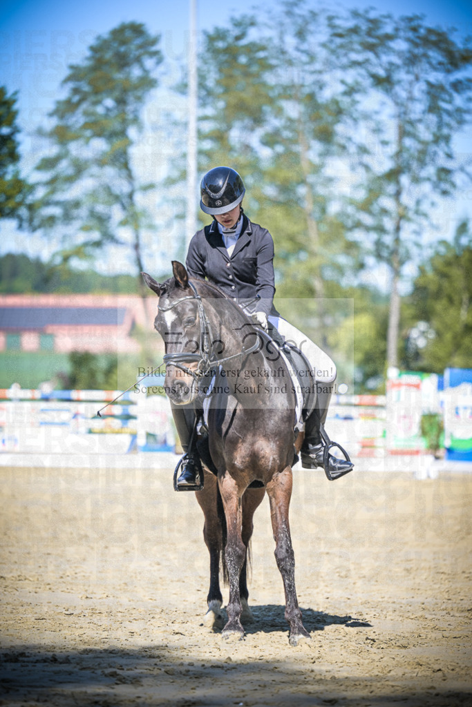 DOS_5055 | Entdecke hochwertige Reitturnierfotos von Foto Oger. Professionell, emotional und authentisch – jetzt Lieblingsmomente im Shop bestellen.Deutschlandweite Turnierfotografie. - Realisiert mit Pictrs.com