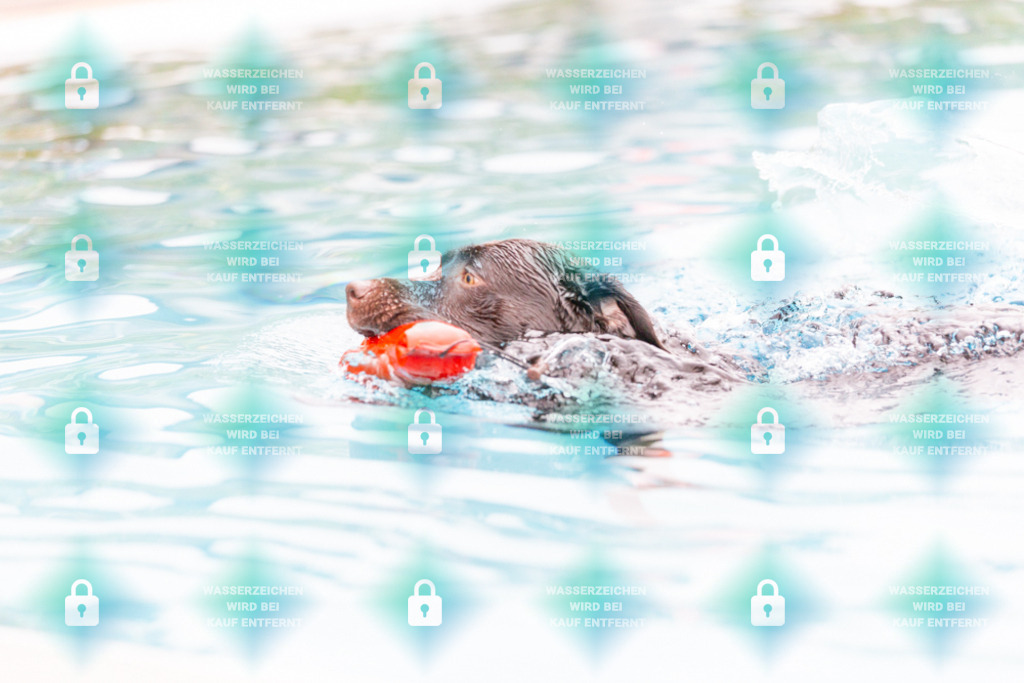 _HP_7277_1000o | HetPix, HetPix Fotodesign, Fotografie, Fotodesign, Webshop, Sportfotografie, Portraitfotografie, Onlineshop, Sportfotografie, Polch, Motorsportfotografie, Eventfotografie