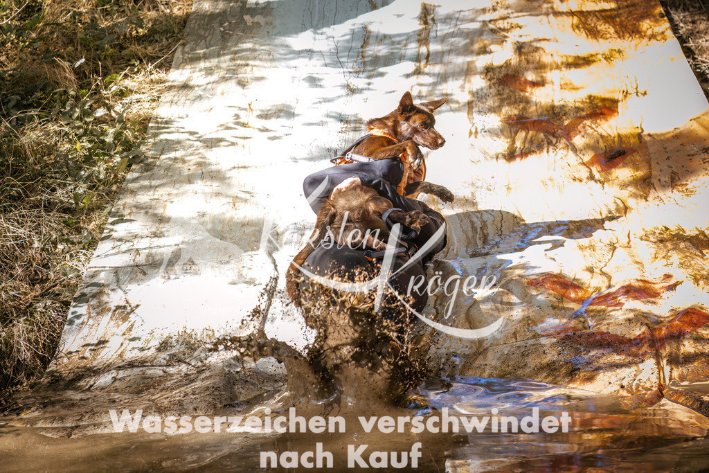 1322_ZZ91288 | kk-dogfotos