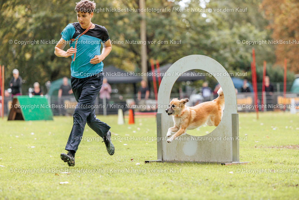 THS-HSV-Blumenthal-2026-Nickbest-Hundefotografie-4002 | Dein Hund! Dein Moment! Deine Erinnerungen! Hundefotografie in Bremen Blumenthal. Ich fange die besonderen Momente deines Vierbeiners ein – ob Indoor mit Blitzanlage oder in der freien Natur. Sicher dir dein Moment und dein Termin für eure Erinnerungen.