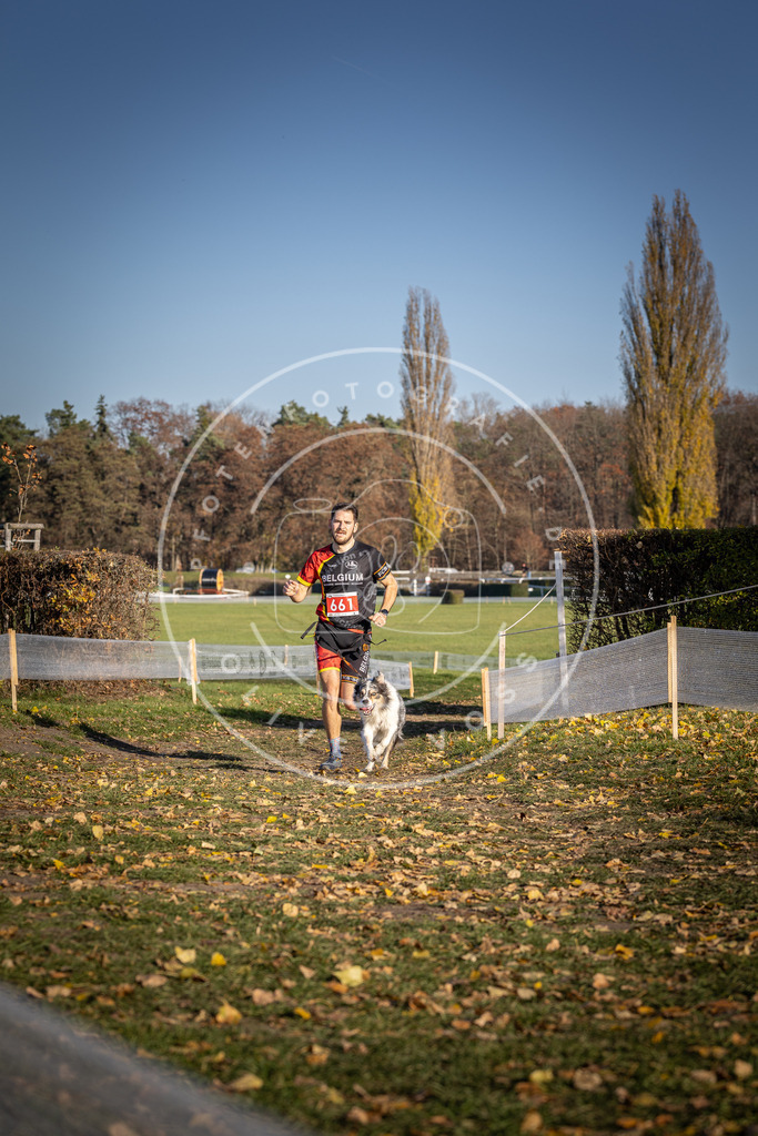 CaniXpix_DV3A0668 | Hundefotografie, Tierfotograf, Pfotenfotografie, Fotoshooting Hund, Hunde Portrait, Hundesport, Hundeportraits, Heideshooting, Hunde, Sportfotograf, Hundefotograf, Turnierhundsport, THS,  - Realisiert mit Pictrs.com