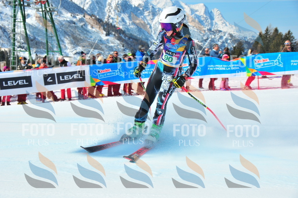 DSC_0592 | holidayphoto