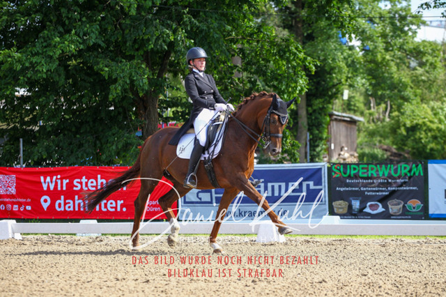 DKP41418 | Deine Turnierfotos vom Reitturnier online kaufen: Dressur, Springen & Siegerehrung. Professionelle Pferdefotografie aus dem Rheinland – als Download & Print.Alternative: Turnierfotograf für den Pferdesport: Finde deine Fotos von Dressur- und Springturnier