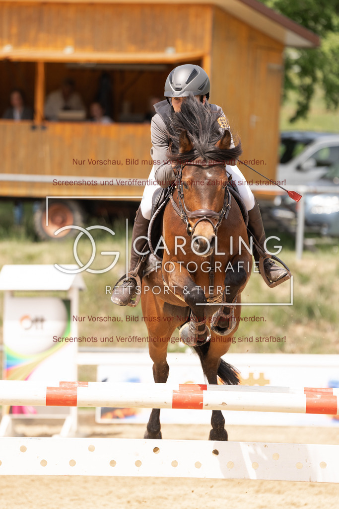 DSC06783 | Springturnier_Ehingen_Mai_2026, Moritz_Steimle, Sternenstaub_SWS