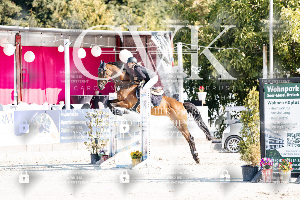 CK901737 | Turnierfotografie Pferdefotografie Trier Rheinland-Pfalz Pferdesport Reitsport Tierfotografie Sportfotografie Pferdevideo Pferdevideografie Equestrianvideography equestrianphotography  - Realisiert mit Pictrs.com