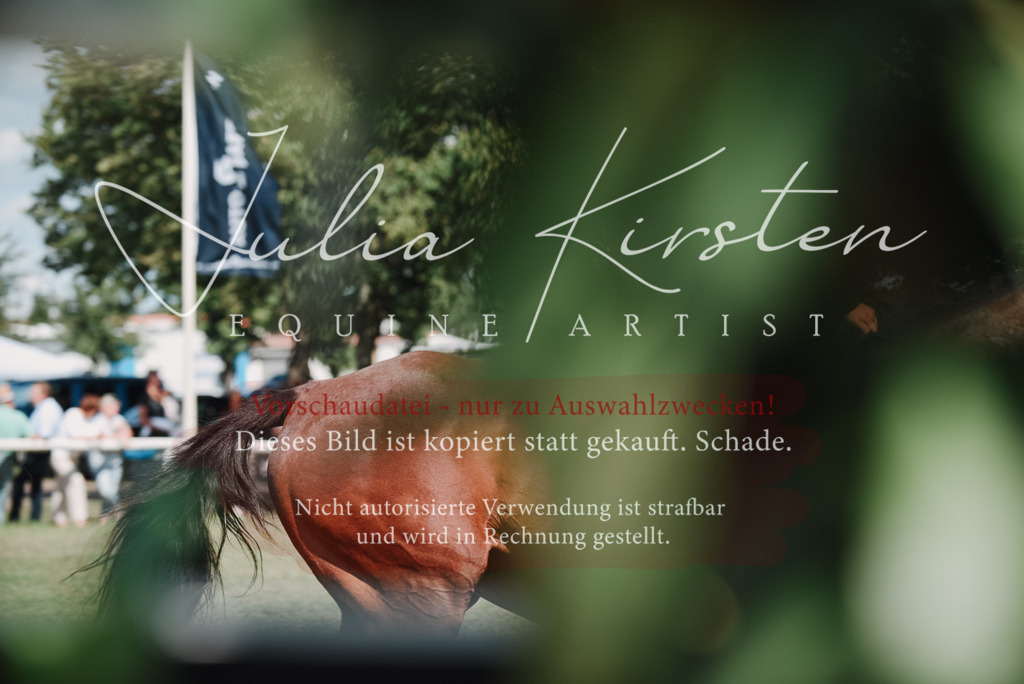 DSC_5760 | Pferde- und Turnierfotografie in Westsachsen. Pferdeportraits, Auftragszeichnungen und intuitive Kunst.