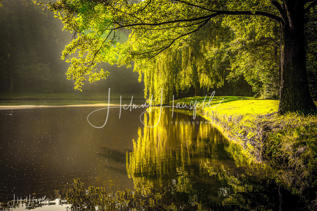 DSC00240 | Landschaftsfotografie, Naturfotografie - Realisiert mit Pictrs.com