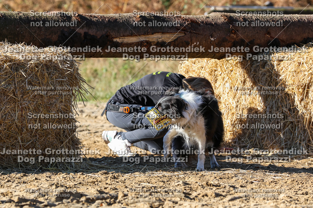 Dog Paparazzi - Strongdog 10-25-2256 | Dog Paparazzi Jeanette Grottendiek Fotografie & Videografie - Realisiert mit Pictrs.com