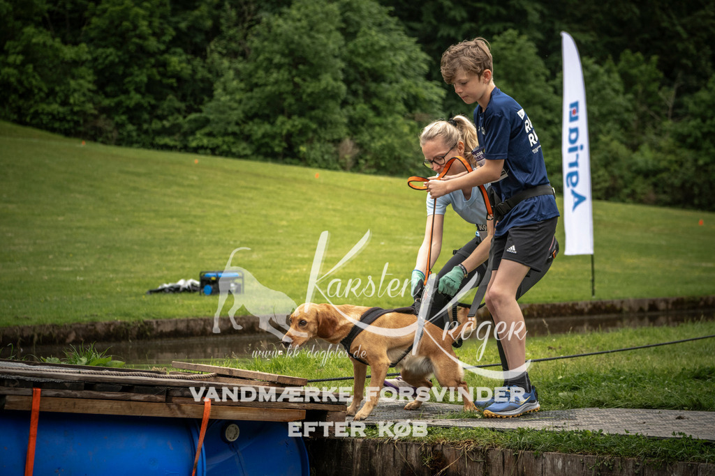 1101_ZZ95813 | kk-dogfotos