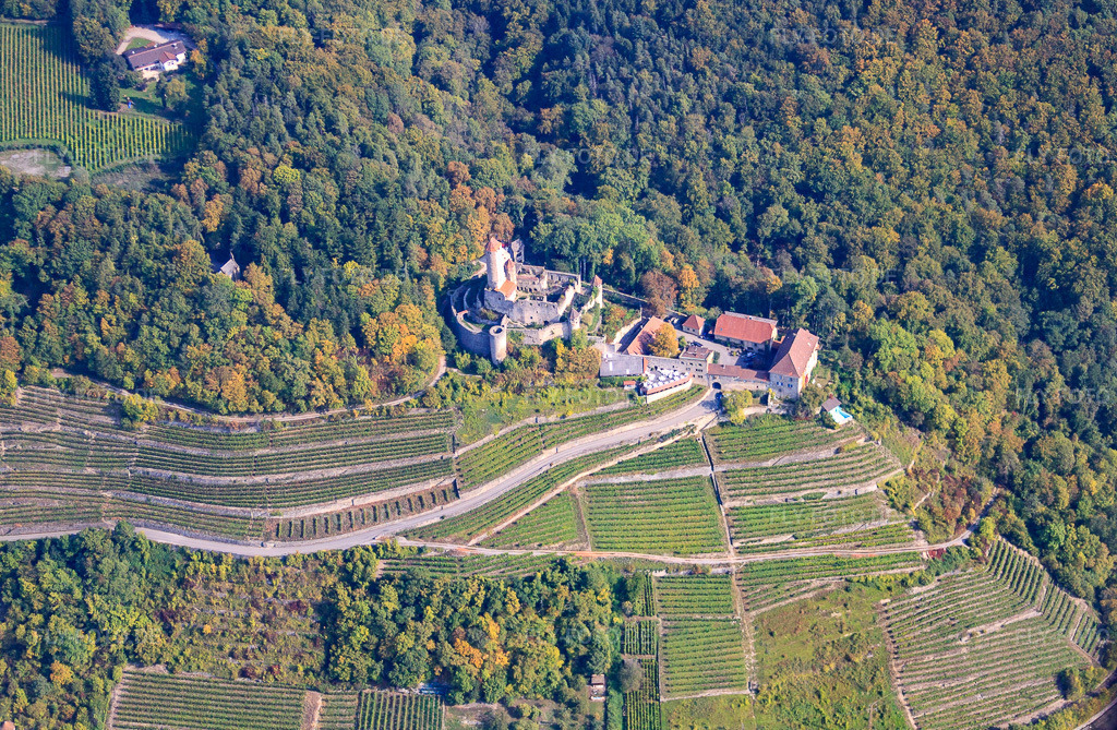 Luftbild: Burg Hornberg über Reben in Steillage in Neckarzimmern im Bundesland Baden-Württemberg in Deutschland. Foto: IMG_45614-1661.jpg vom 25.09.2011 durch Werner Riehm/FLY-FOTO.de