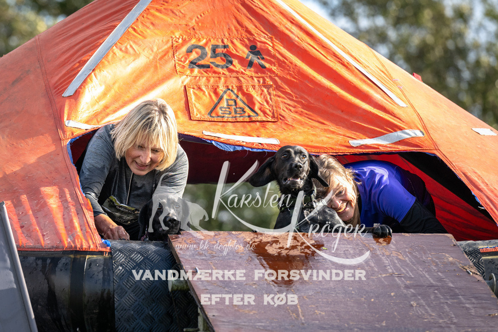 1403-93584 | kk-dogfotos