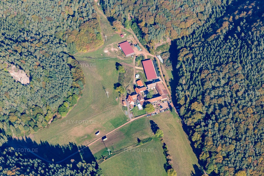 Luftbild: Bio-Gasthof Bärenbrunnerhof in Busenberg im Bundesland Rheinland-Pfalz in Deutschland. Foto: IMG_095245.jpg vom 16.10.2016 durch Werner Riehm/FLY-FOTO.de