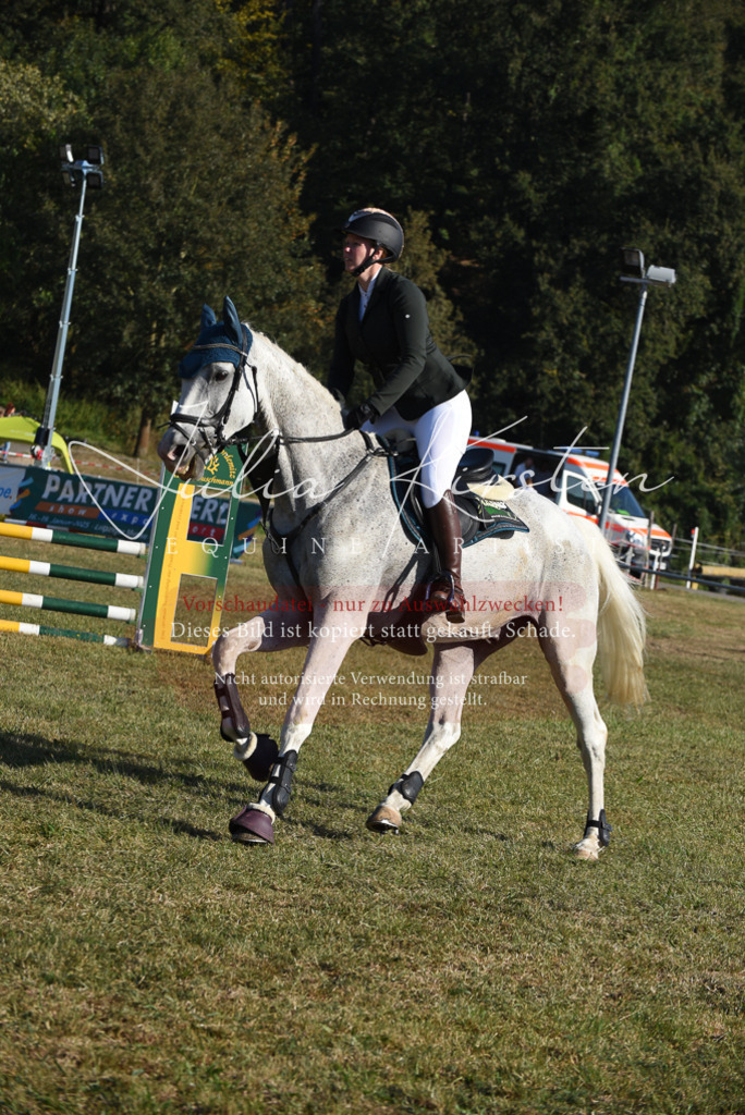 DSC_5213 | Pferde- und Turnierfotografie in Westsachsen. Pferdeportraits, Auftragszeichnungen und intuitive Kunst.