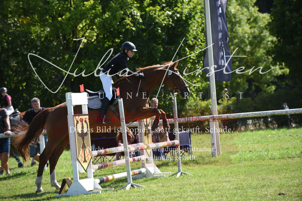 DSC_9199 | Pferde- und Turnierfotografie in Westsachsen. Pferdeportraits, Auftragszeichnungen und intuitive Kunst.