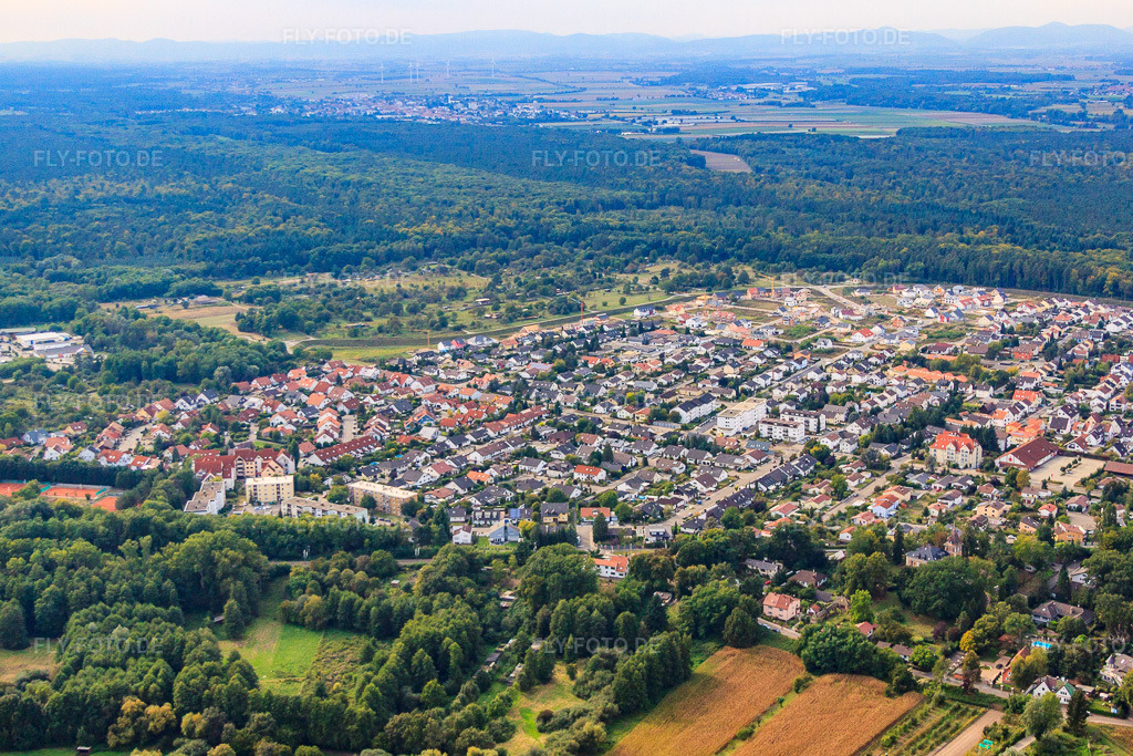 Luftbild: Buchstraße von Osten in Jockgrim im Bundesland Rheinland-Pfalz in Deutschland. Foto: IMG_53266.jpg vom 23.09.2012 durch Werner Riehm/FLY-FOTO.de