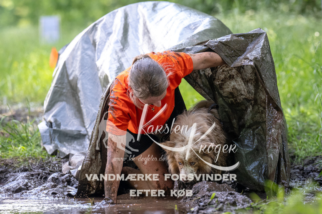 1204_ZZ91174 | kk-dogfotos