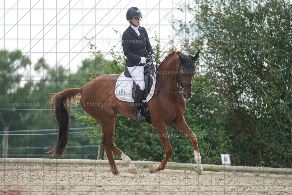 20230826-FAH06168 | Forstinning, 2023, Dressurturnier, Turniersportbilder, Turnierfotografen Bayern, Fotoagentur Herrmann, Reitsportfotografie, Turnierbilder