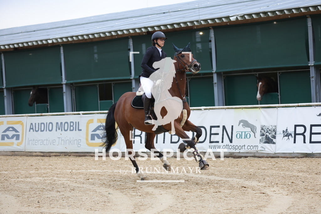 0P6A4896 | Willkommen bei Brunnmayr - Design & Fotografie – Ihrem Spezialisten für Reitturniere und Pferdeveranstaltungen in Oberösterreich, Salzburg und Bayern! Seit über 17 Jahren sind wir leidenschaftlich dabei.