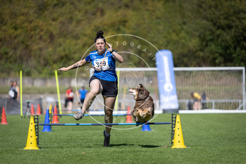 Pfotenfotografie_DV3A7354 | Hundefotografie, Tierfotograf, Pfotenfotografie, Fotoshooting Hund, Hunde Portrait, Hundesport, Hundeportraits, Heideshooting, Hunde, Sportfotograf, Hundefotograf, Turnierhundsport, THS,  - Realisiert mit Pictrs.com