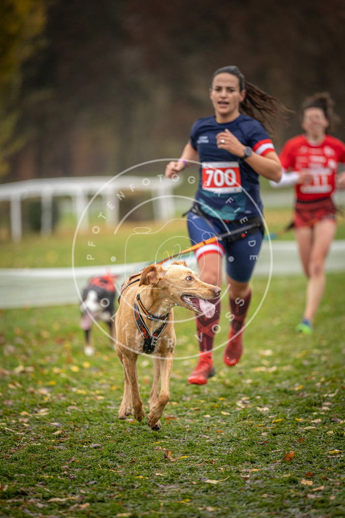CaniXpix_DV3A9205 | Hundefotografie, Tierfotograf, Pfotenfotografie, Fotoshooting Hund, Hunde Portrait, Hundesport, Hundeportraits, Heideshooting, Hunde, Sportfotograf, Hundefotograf, Turnierhundsport, THS,  - Realisiert mit Pictrs.com