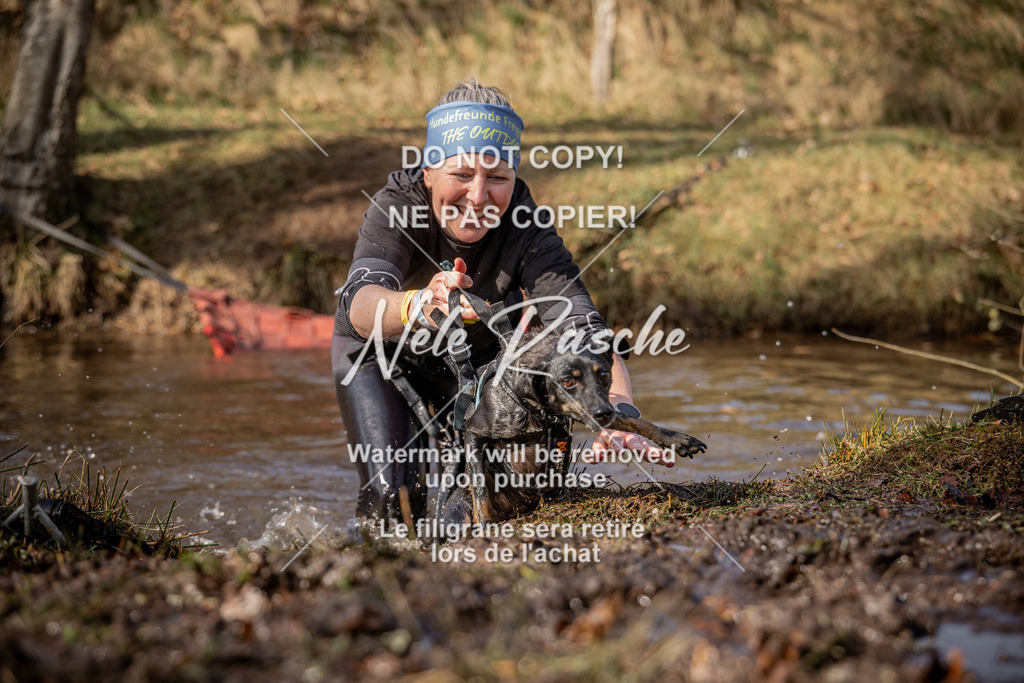 nelerasche_FS1330-1400_348 | nelerasche