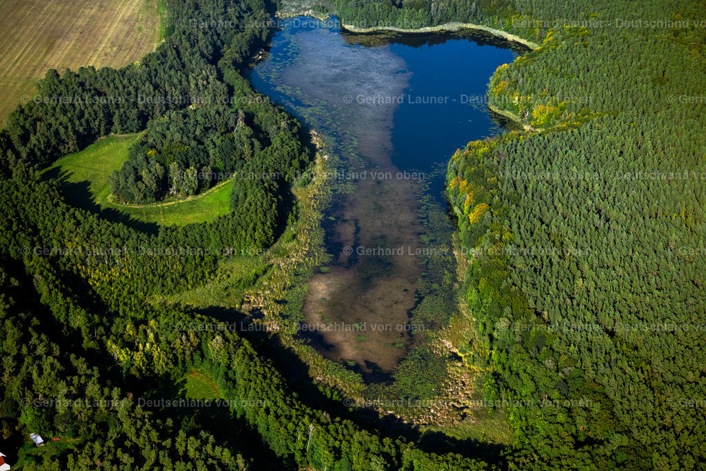4062379 | ZECHLINERHüTTE 08.09.2021 Waldgebiete am Ufer des See " Großer Heegesee " in Zechlinerhütte im Bundesland Brandenburg, Deutschland. // Forests on the shores of Lake " Grosser Heegesee " in Zechlinerhuette in the state Brandenburg, Germany. Foto: Gerhard Launer
