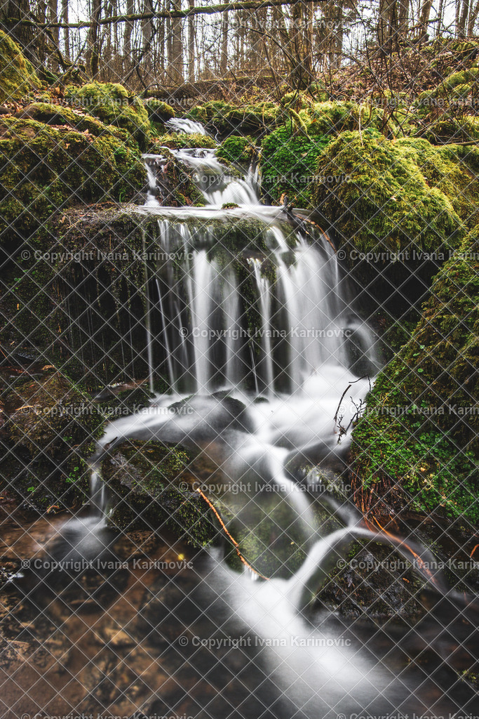 DSC01589 | ikphotography - Realisiert mit Pictrs.com