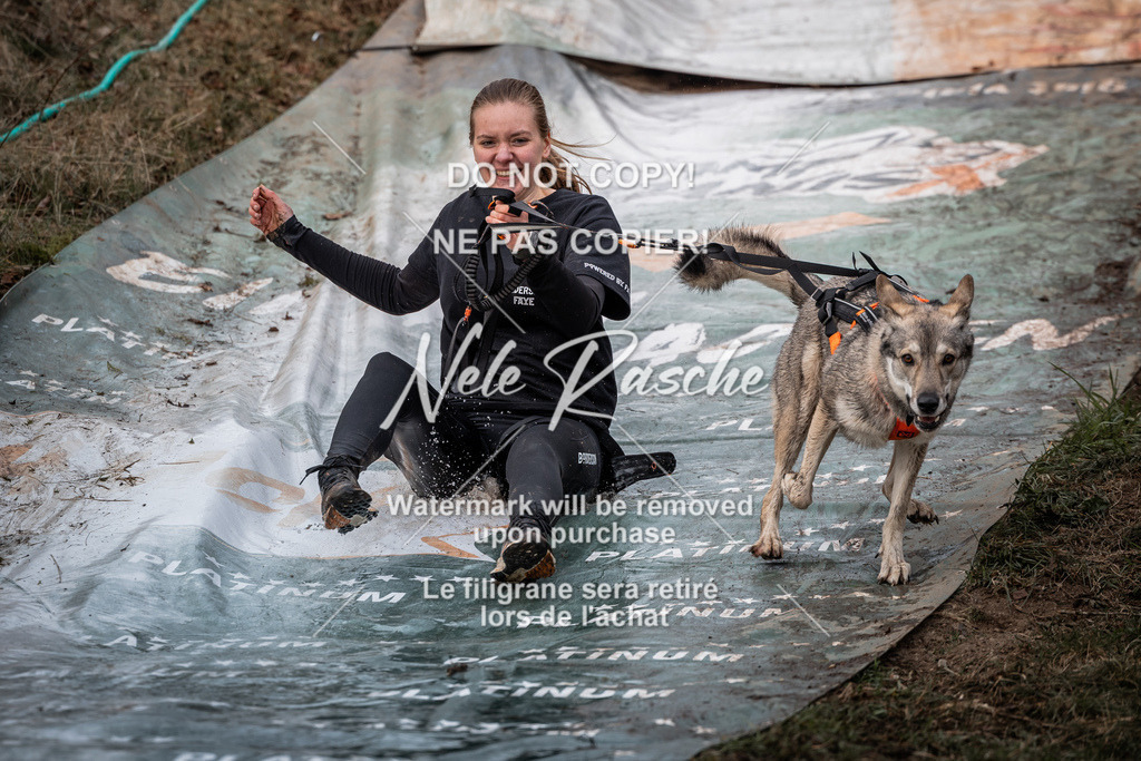 nelerasche_1330-1400_266 | nelerasche