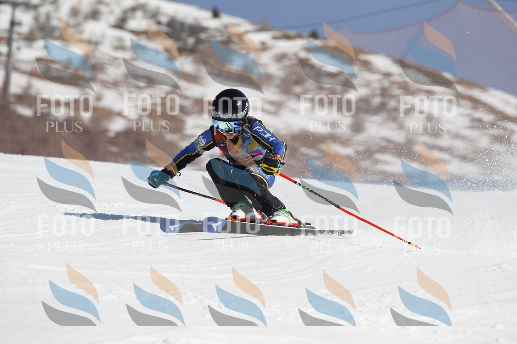 _U3G9583 | holidayphoto