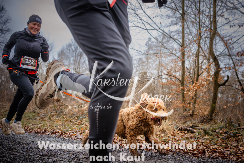 1024_ZZ95433 | kk-dogfotos