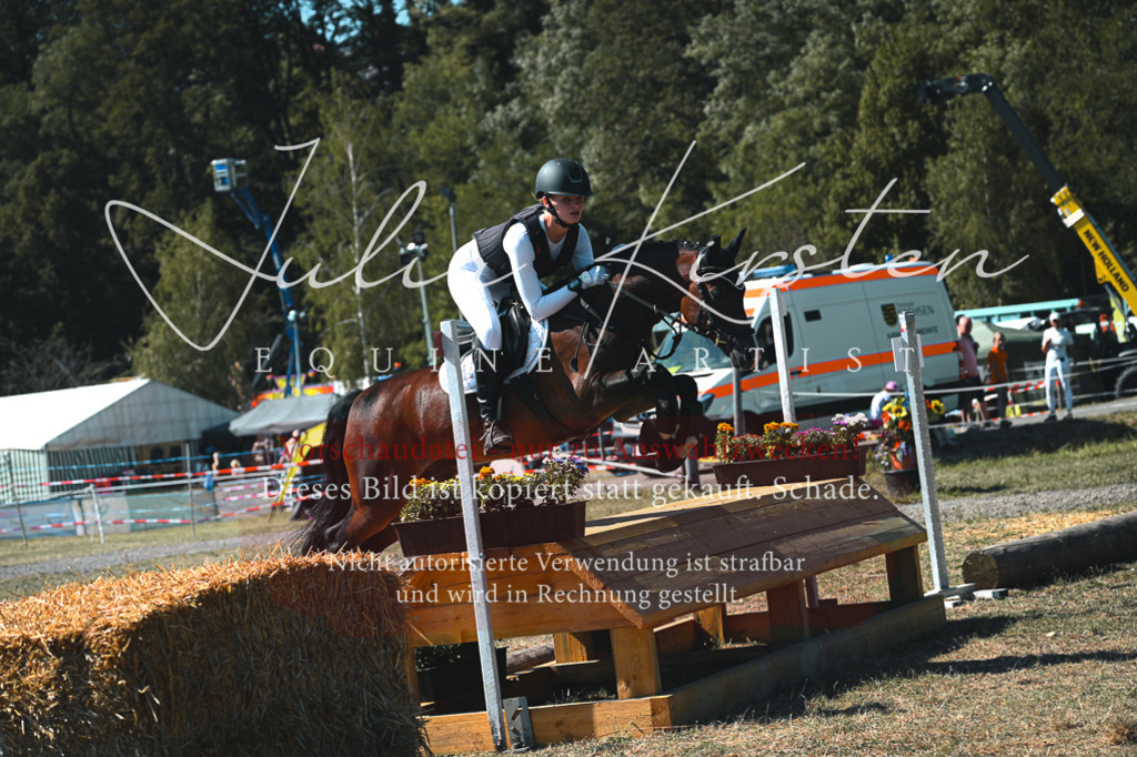 DSC_8279 | Pferde- und Turnierfotografie in Westsachsen. Pferdeportraits, Auftragszeichnungen und intuitive Kunst.