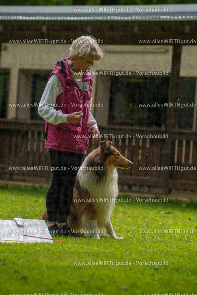 @allesWIRTHgut_Tierfotografie - www.allesWIRTHgut.de - 095200-7R507765 | Professionelle Tierfotografie in Mönchengladbach von Daniel Wirth (allesWIRTHgut). Liebevolle & natürliche Bilder von Hunden & Katzen für unvergessliche Erinnerungen.