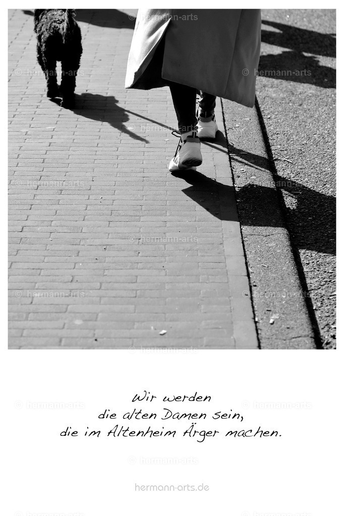 PK_Zitate_10x15_BW-080 | Photo Foto Kunst Art schwarzweiss Bilder Rheine Münster Berlin Blumen 